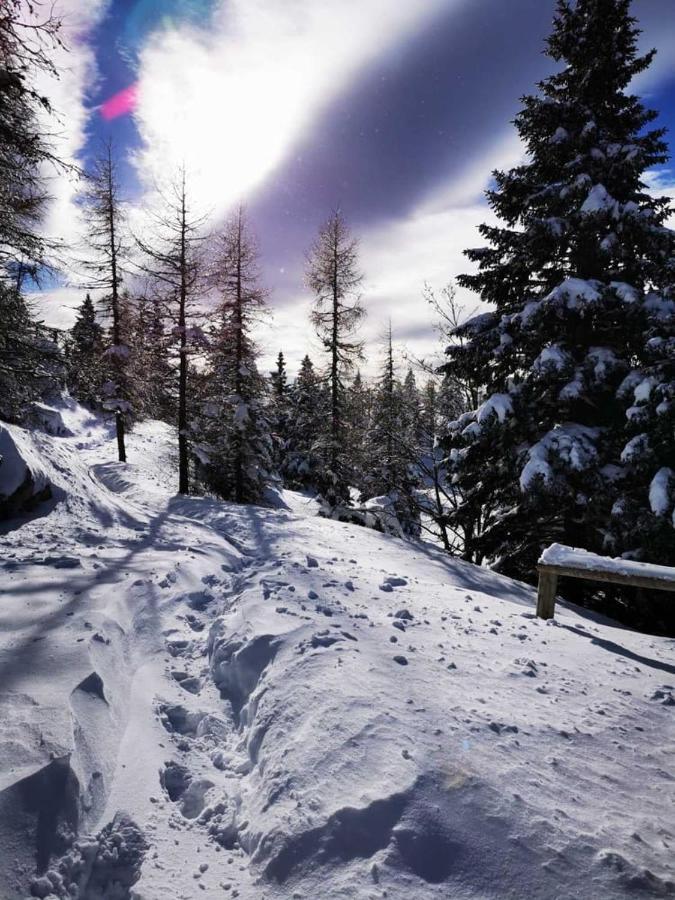 Gorenjka - Velika Planina Chalet *
