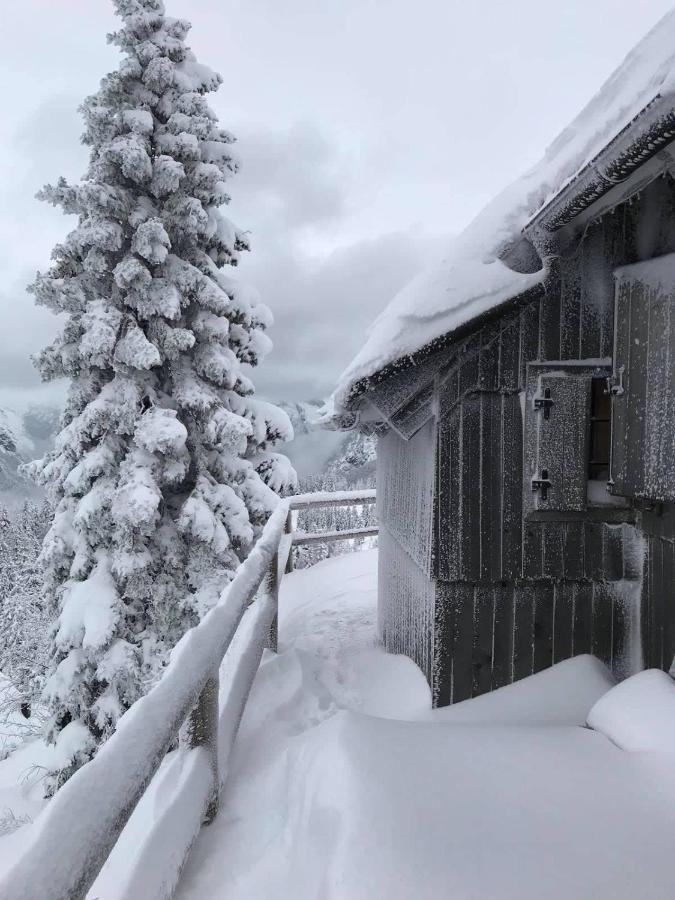 Gorenjka - Velika Planina Chalet *