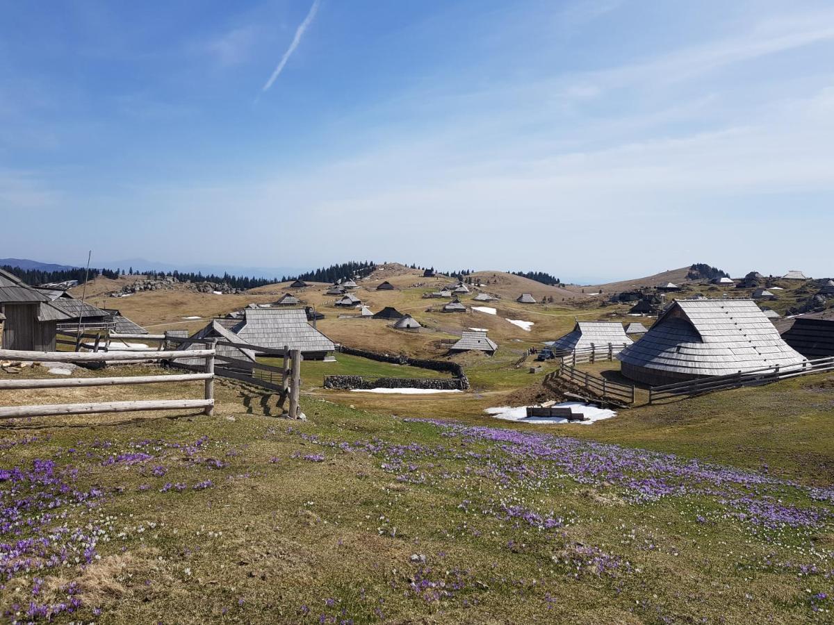 Gorenjka - Velika Planina Chalet